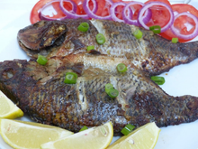 Load image into Gallery viewer, tilapia seodoctoronline