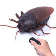 Load image into Gallery viewer, Remote Control Cockroach Toy | banku&amp;tilapia
