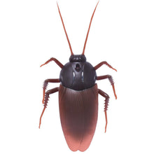 Load image into Gallery viewer, Remote Control Cockroach Toy | banku&amp;tilapia